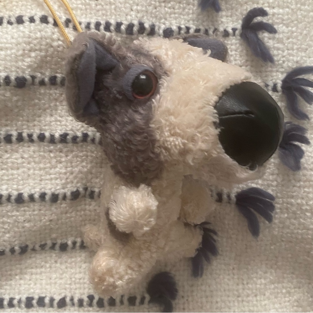 THE DOG mini miniature schnauzer